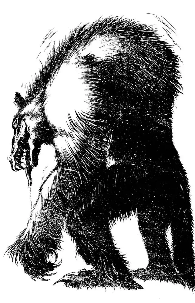 Crystal Dragon Chapter 24 47